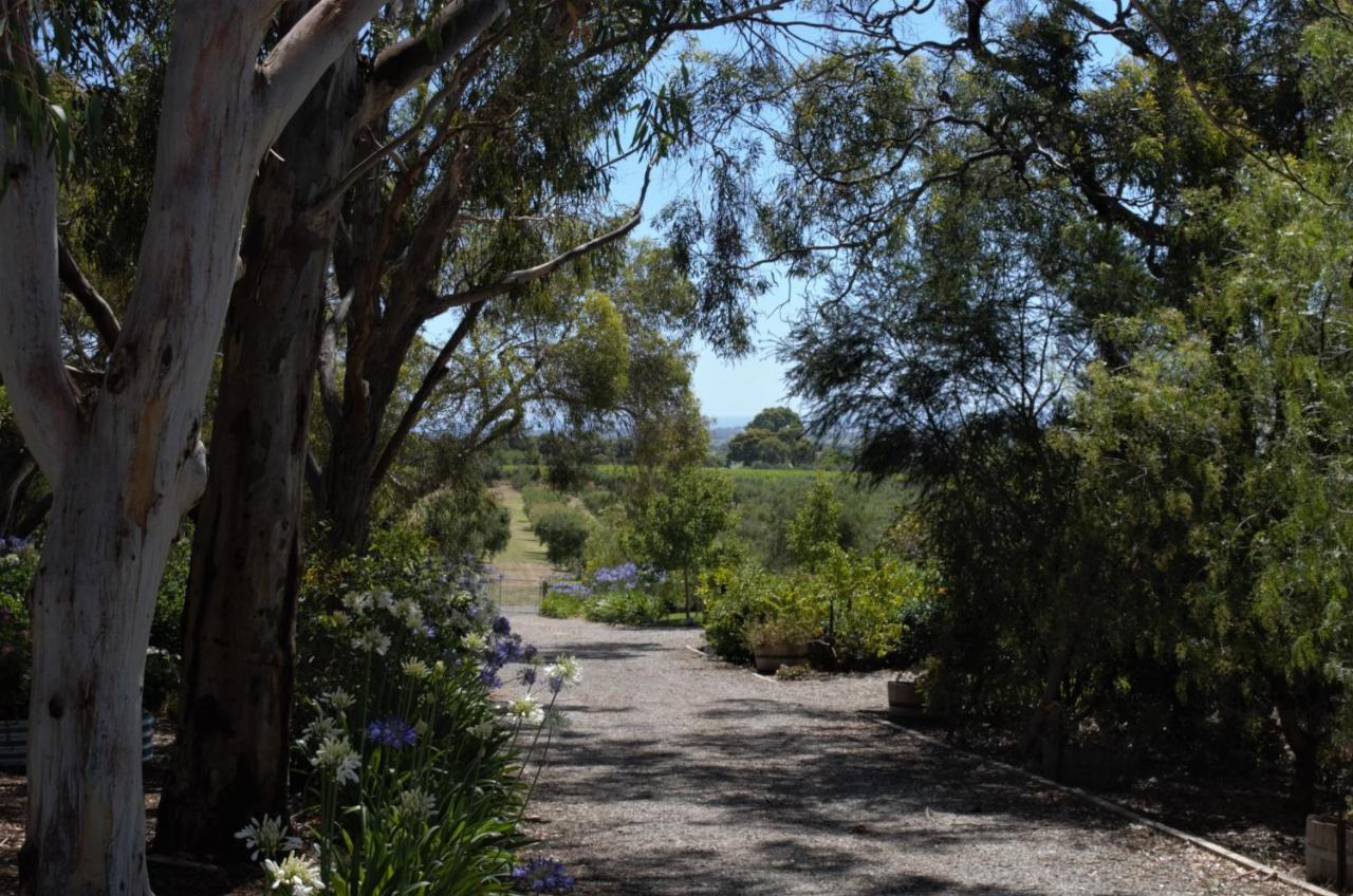 Bed and breakfast The Farm Willunga Extérieur photo