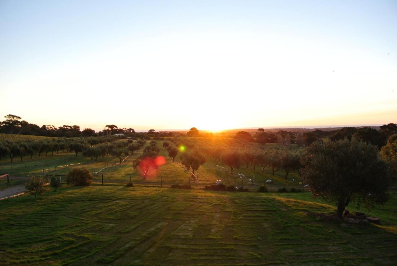 Bed and breakfast The Farm Willunga Chambre photo