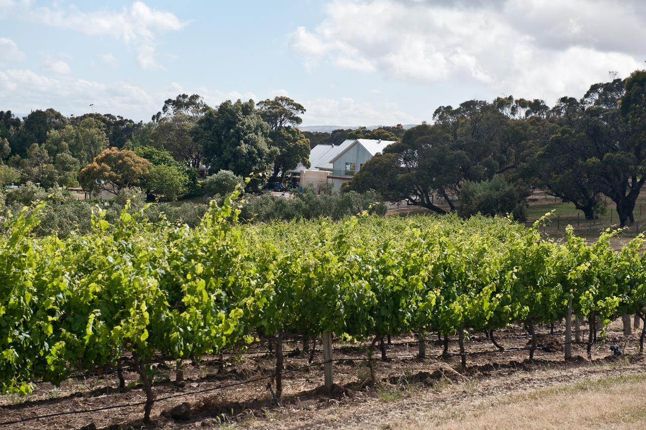 Bed and breakfast The Farm Willunga Extérieur photo