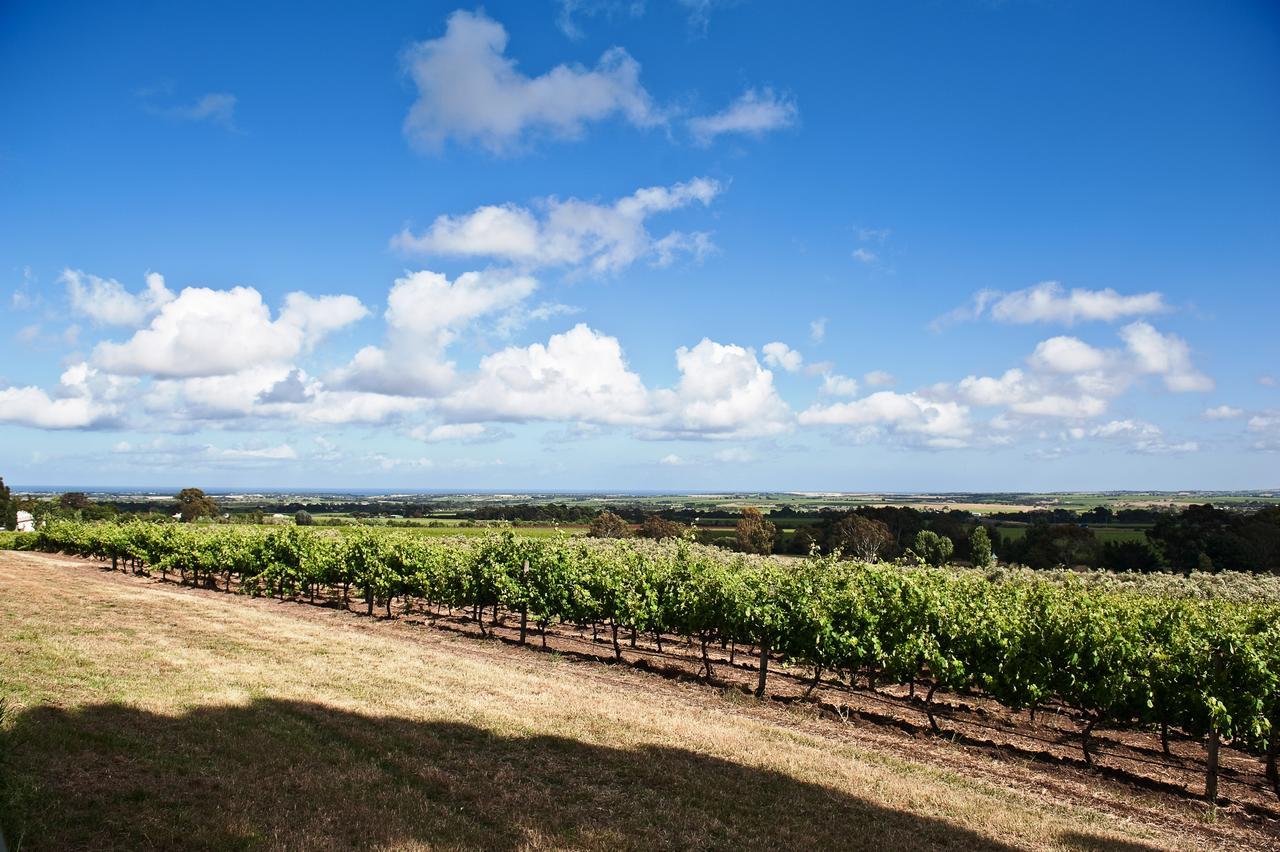 Bed and breakfast The Farm Willunga Extérieur photo